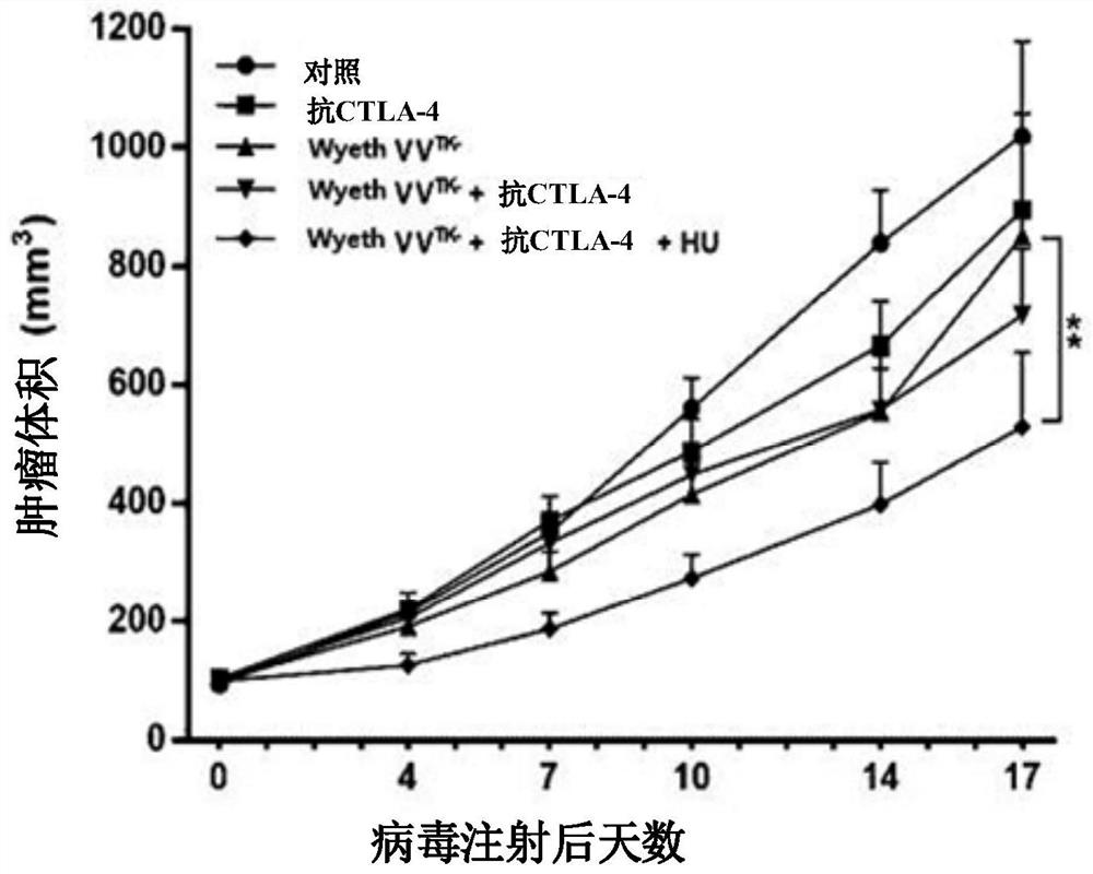 Pharmaceutical composition for treating cancer comprising anti-cancer virus, immune checkpoint inhibitor and hydroxyurea as active ingredients