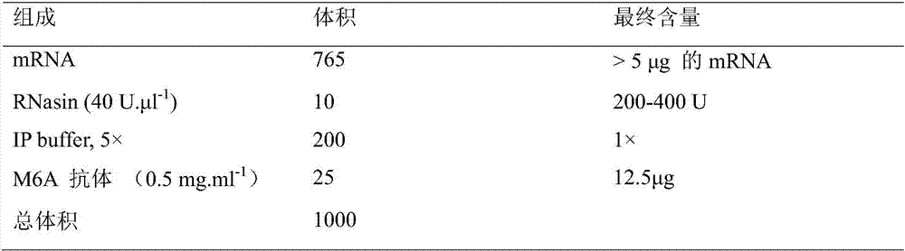 Method for increasing the yield of m&lt;6&gt;A antibody-enriched methylation mRNA