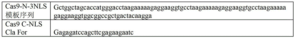 Specie limitation-free eucaryote gene targeting method having no bio-safety influence and helical-structure DNA sequence