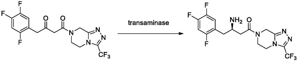 Transaminase mutant, immobilized transaminase and application of immobilized transaminase to preparation of sitagliptin