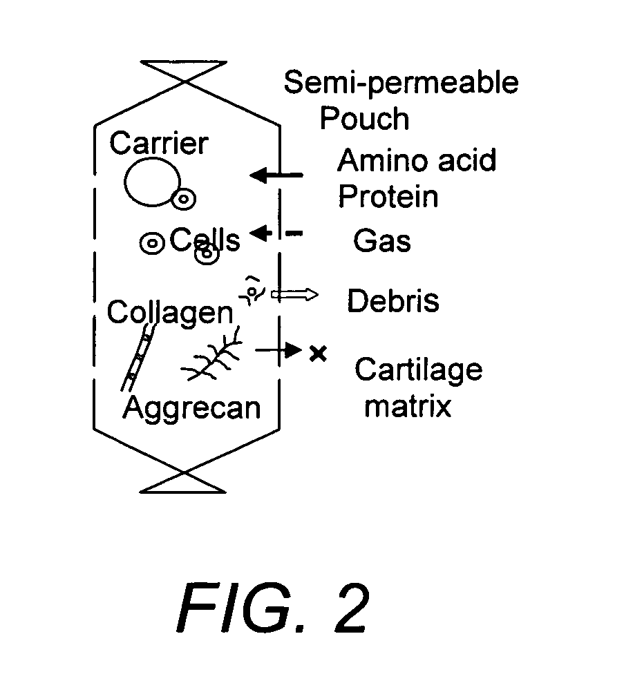 Amorphous cell delivery vehicle treated with physical/physicochemical stimuli