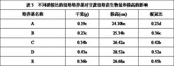 Sugarcane root-promoting and seedling-promoting medium and method for direct field planting of sugarcane tissue culture bottle seedlings