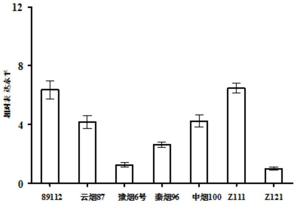 A kind of overexpression can increase the gene of tobacco potassium content and its coded product and application