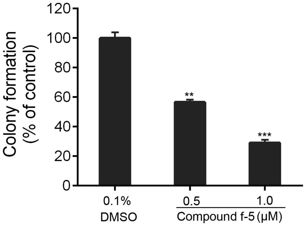 Small molecular compound for inhibiting activity of AKT and STAT3 and application of small molecular compound