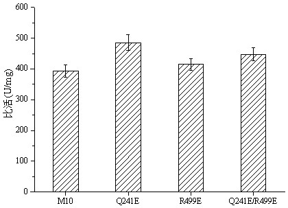 Method for improving acid stability of glucose oxidase, mutant Q241E/R499E, gene and application