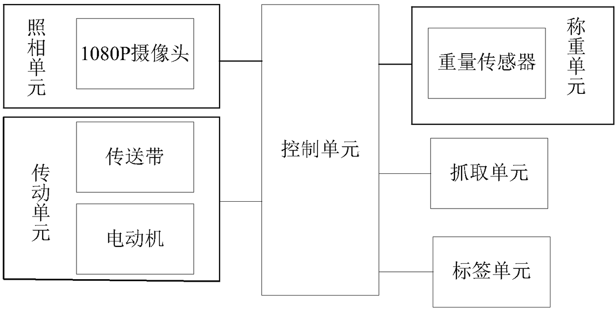 Conveying system for cargo sorting