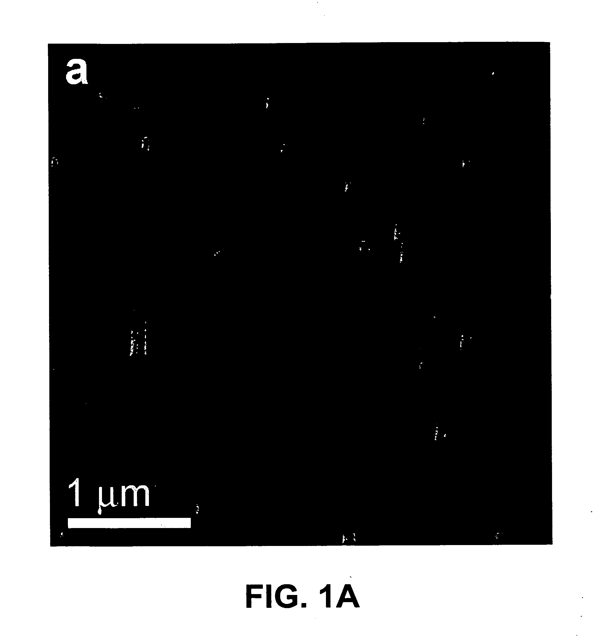 Nanostructures formed of branched nanowhiskers and methods of producing the same