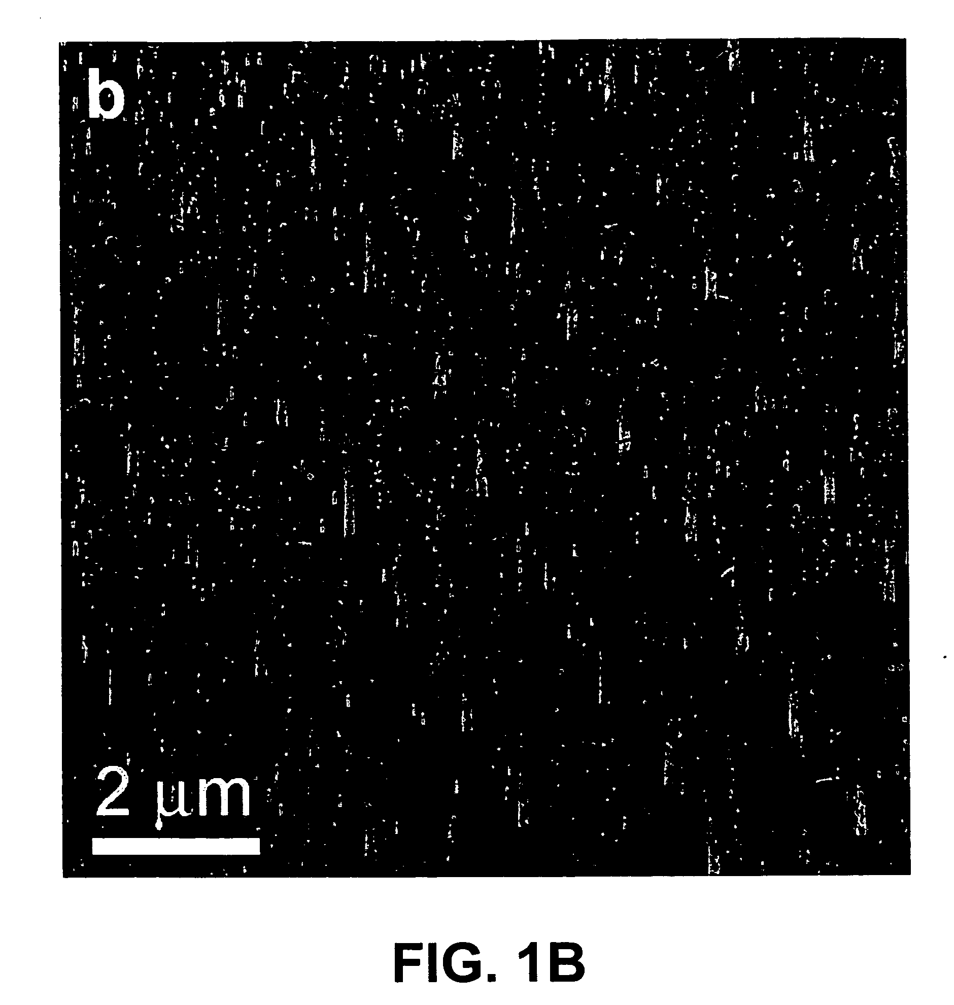 Nanostructures formed of branched nanowhiskers and methods of producing the same