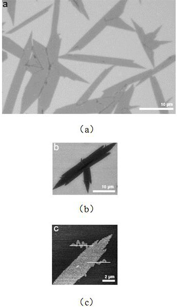 A preparation method of two-dimensional molybdenum ditelluride nanomaterials by confined chemical vapor deposition