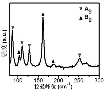 A preparation method of two-dimensional molybdenum ditelluride nanomaterials by confined chemical vapor deposition