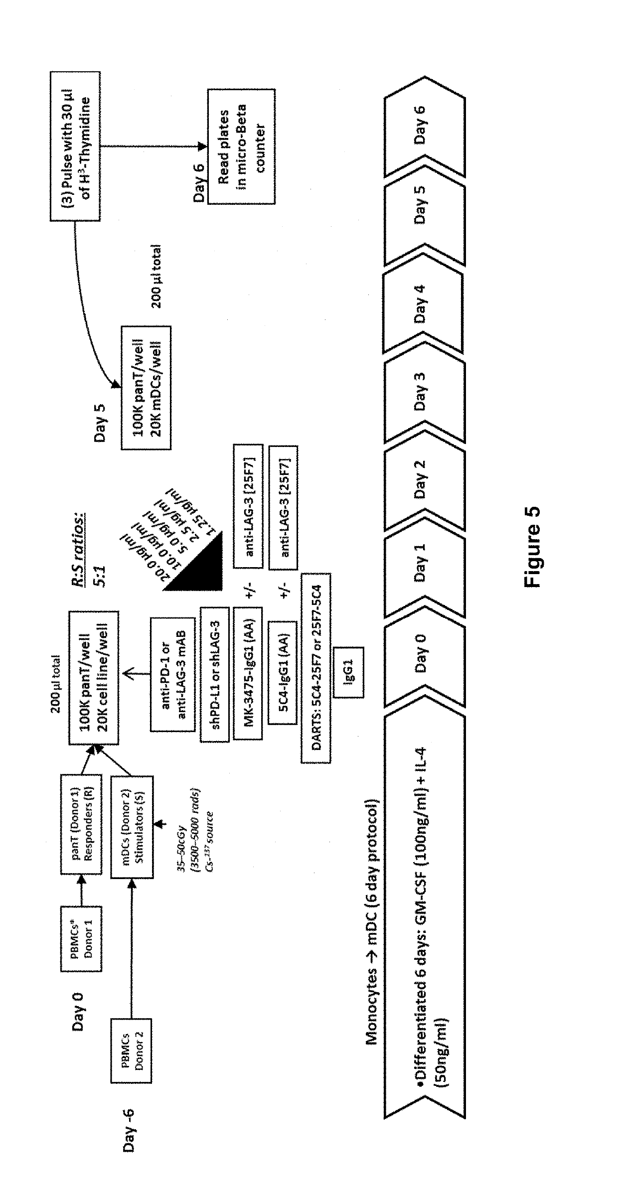 Covalently Bonded Diabodies Having Immunoreactivity with PD-1 and LAG-3, and Methods of Use Thereof