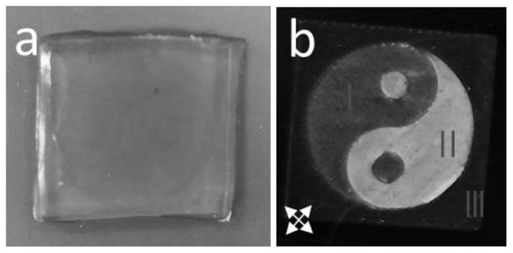 Preparation method and application of nanocellulose polymer optical composite hydrogel