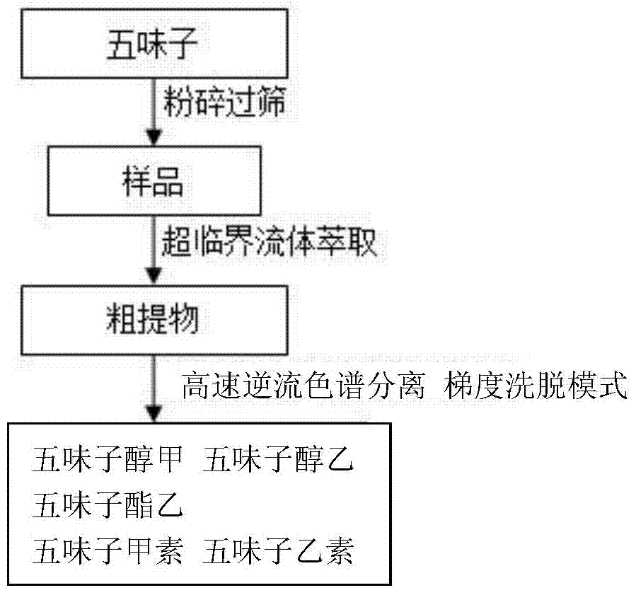 Extraction separation preparation method of lignin monomers in schisandra chinensis