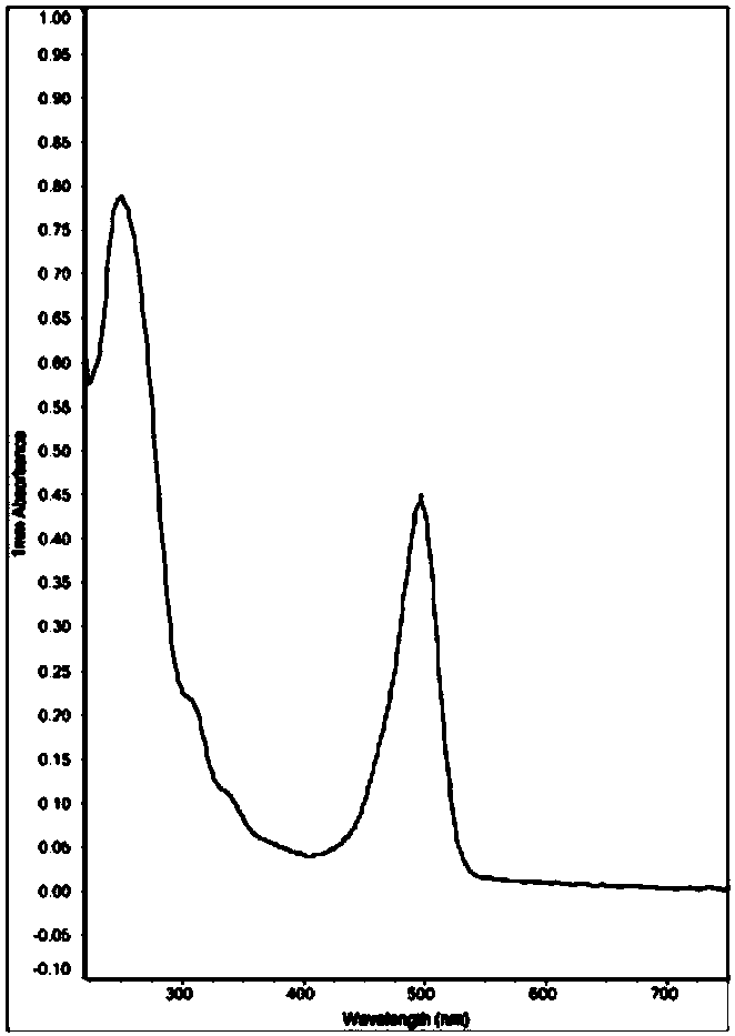 HER2 gene fluorescent in-situ hybridization probe as well as preparation method and application thereof