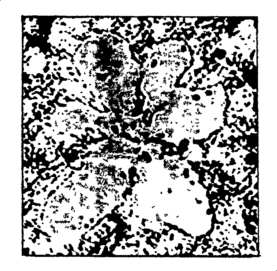 Zinc-alluminium-based wear-resistant alloy and production thereof