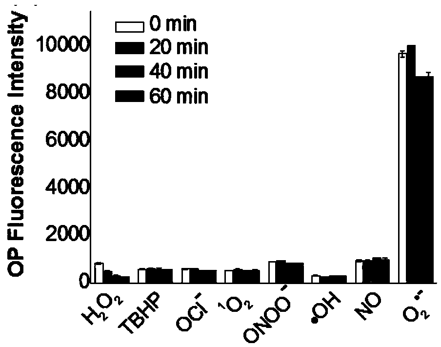 Fluorescent probe and preparation method thereof, and application in detecting superoxide anions