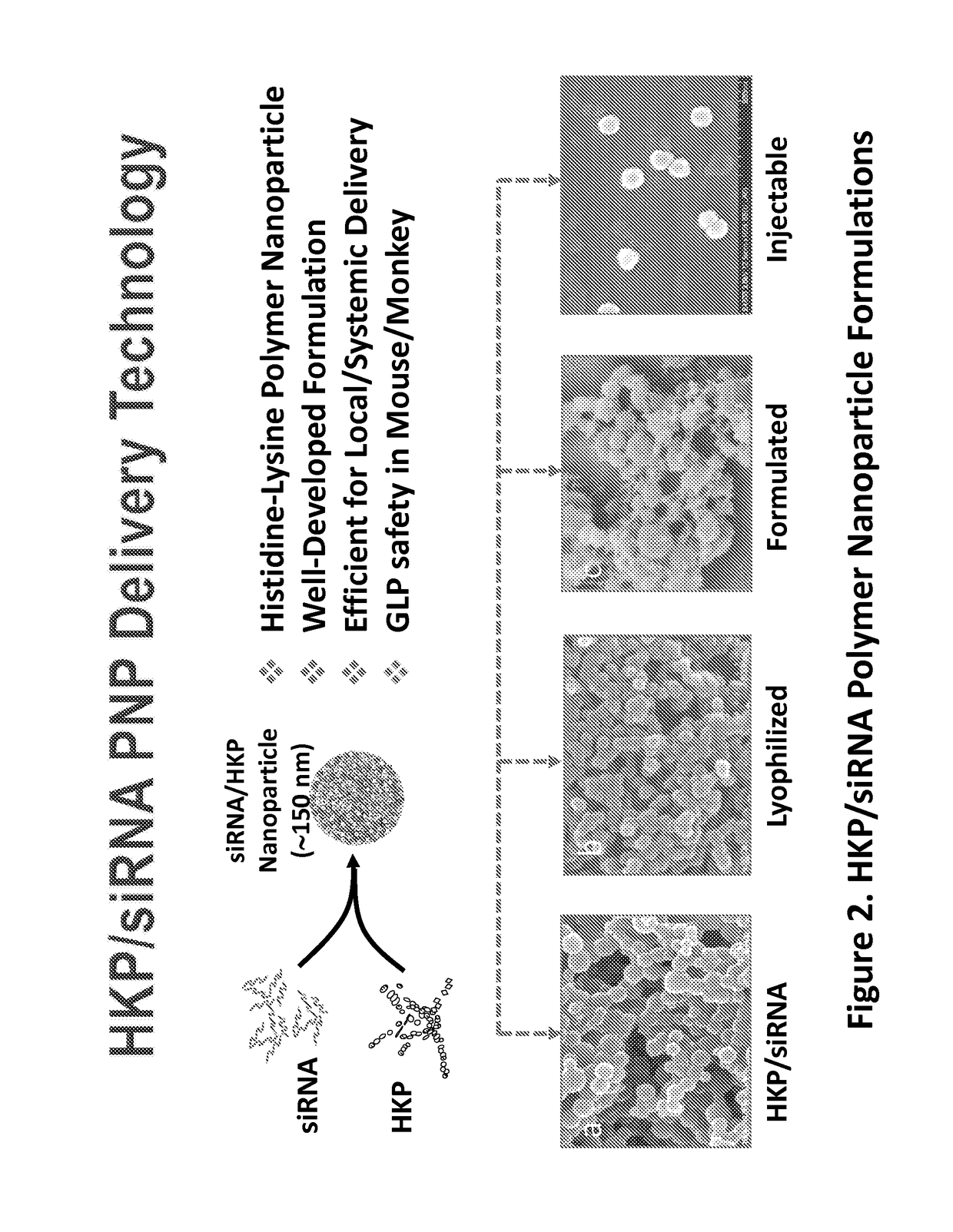 Compositions Comprising Small Interfering RNA Molecules for Prevention and Treatment of Ebola Virus Disease