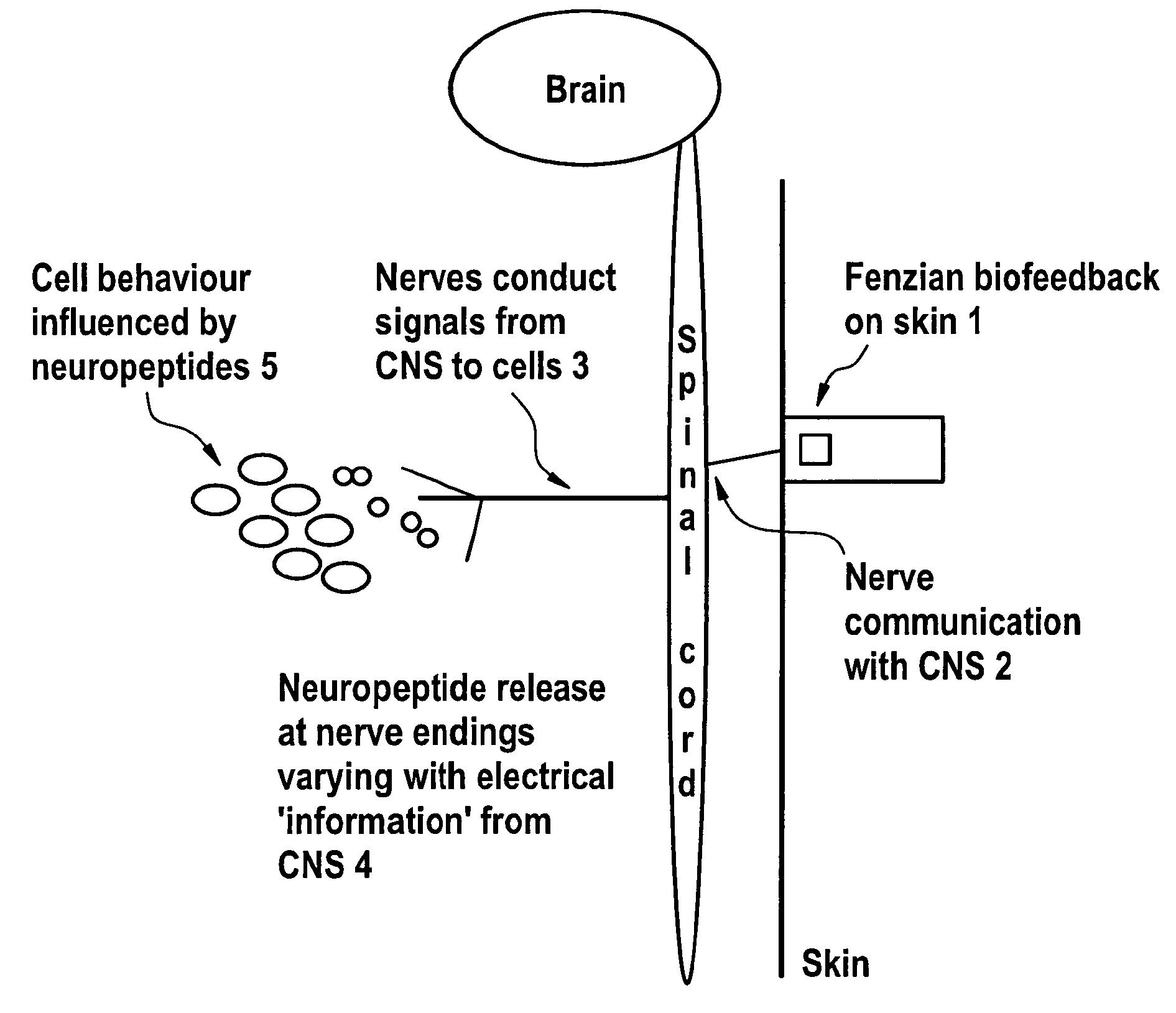 Plurality of electrons for use in the restoration of a patient's health