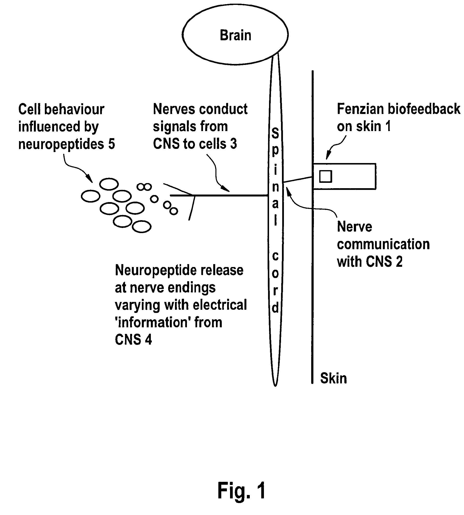 Plurality of electrons for use in the restoration of a patient's health