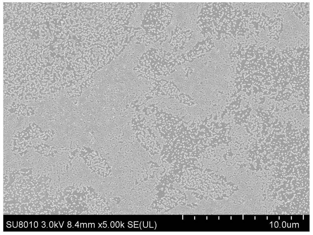 A preparation method of temperature and pH dual response intelligent switch membrane using core-shell structure microgel as switch