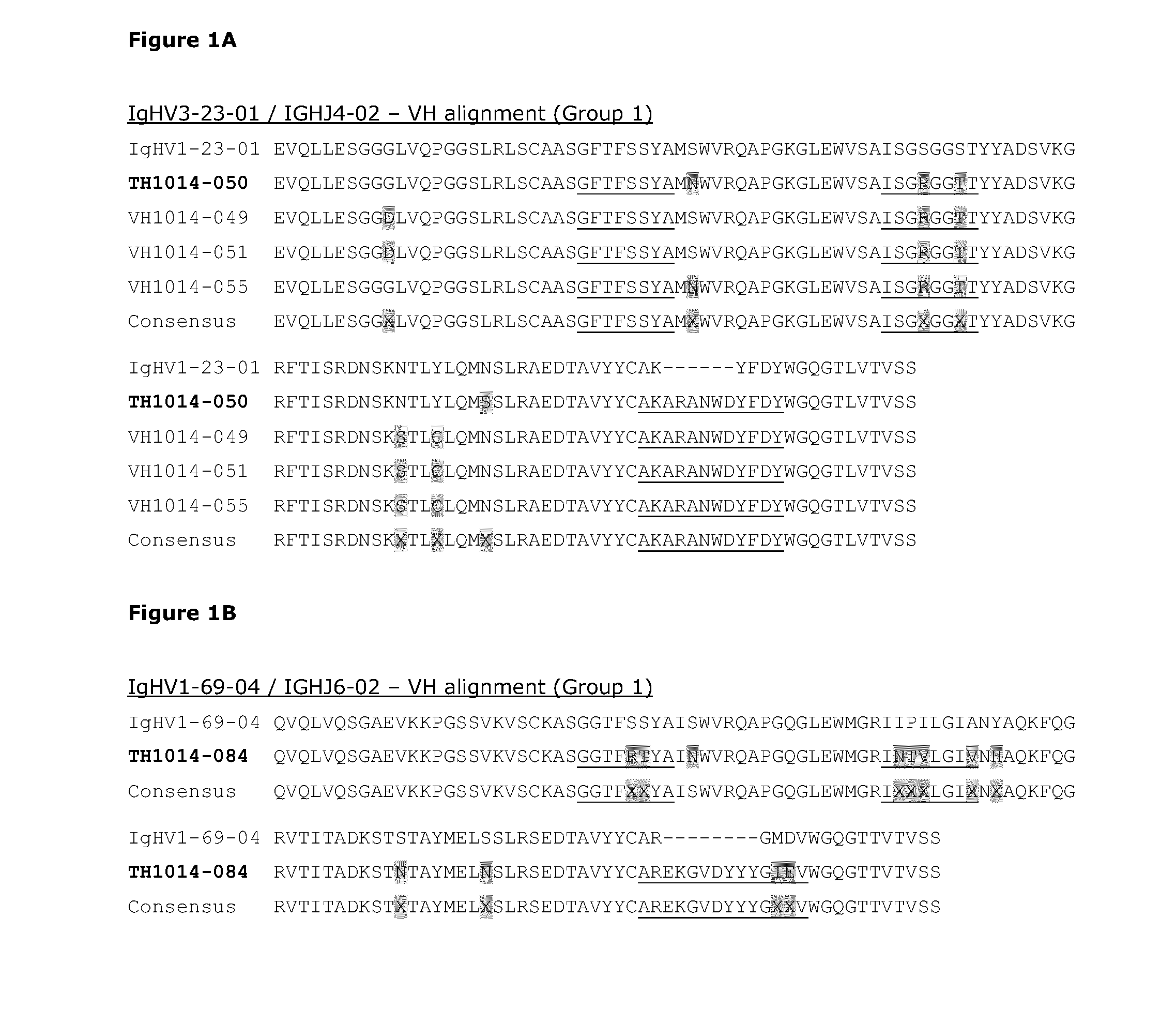 Bispecific antibodies against her2