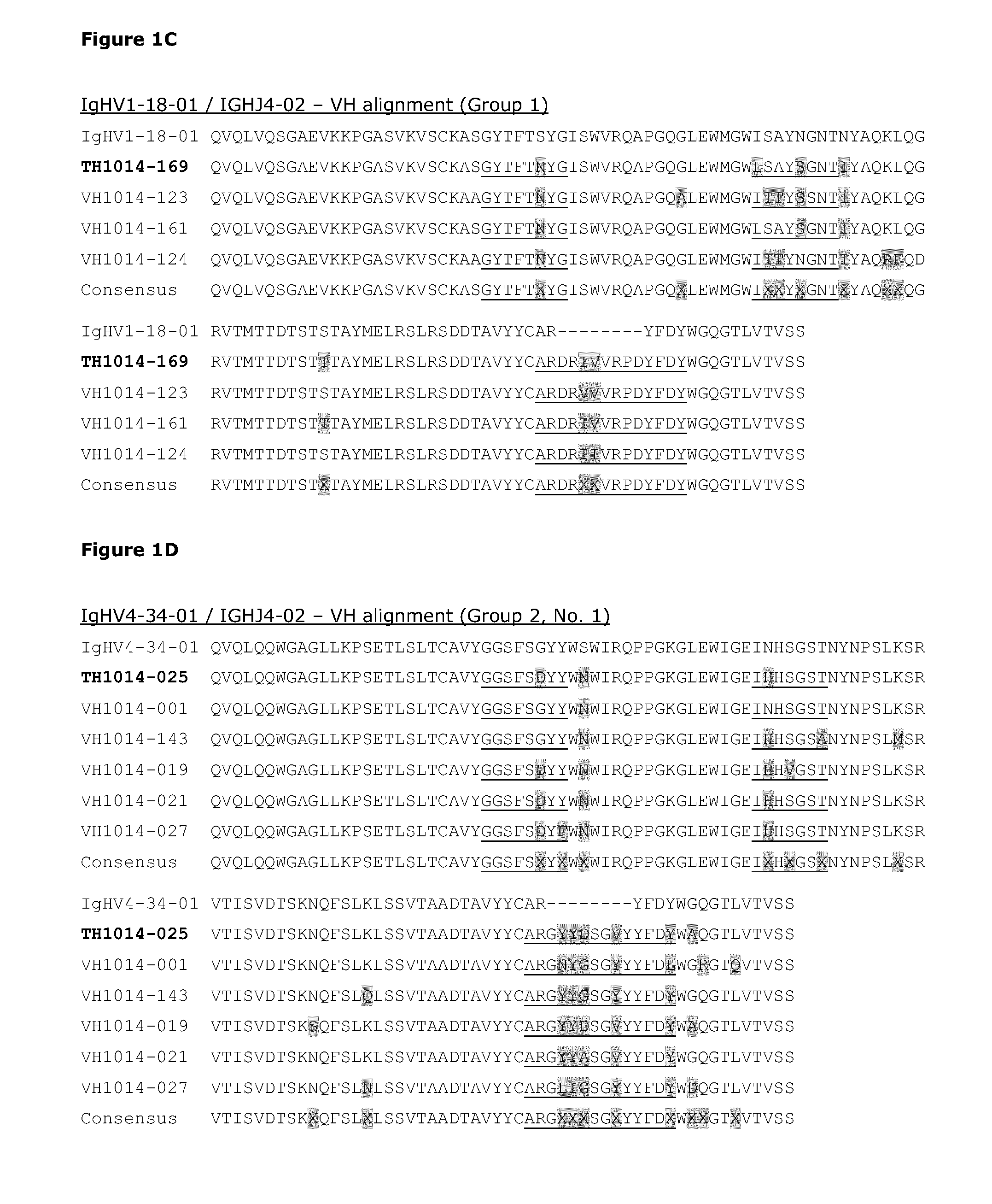 Bispecific antibodies against her2