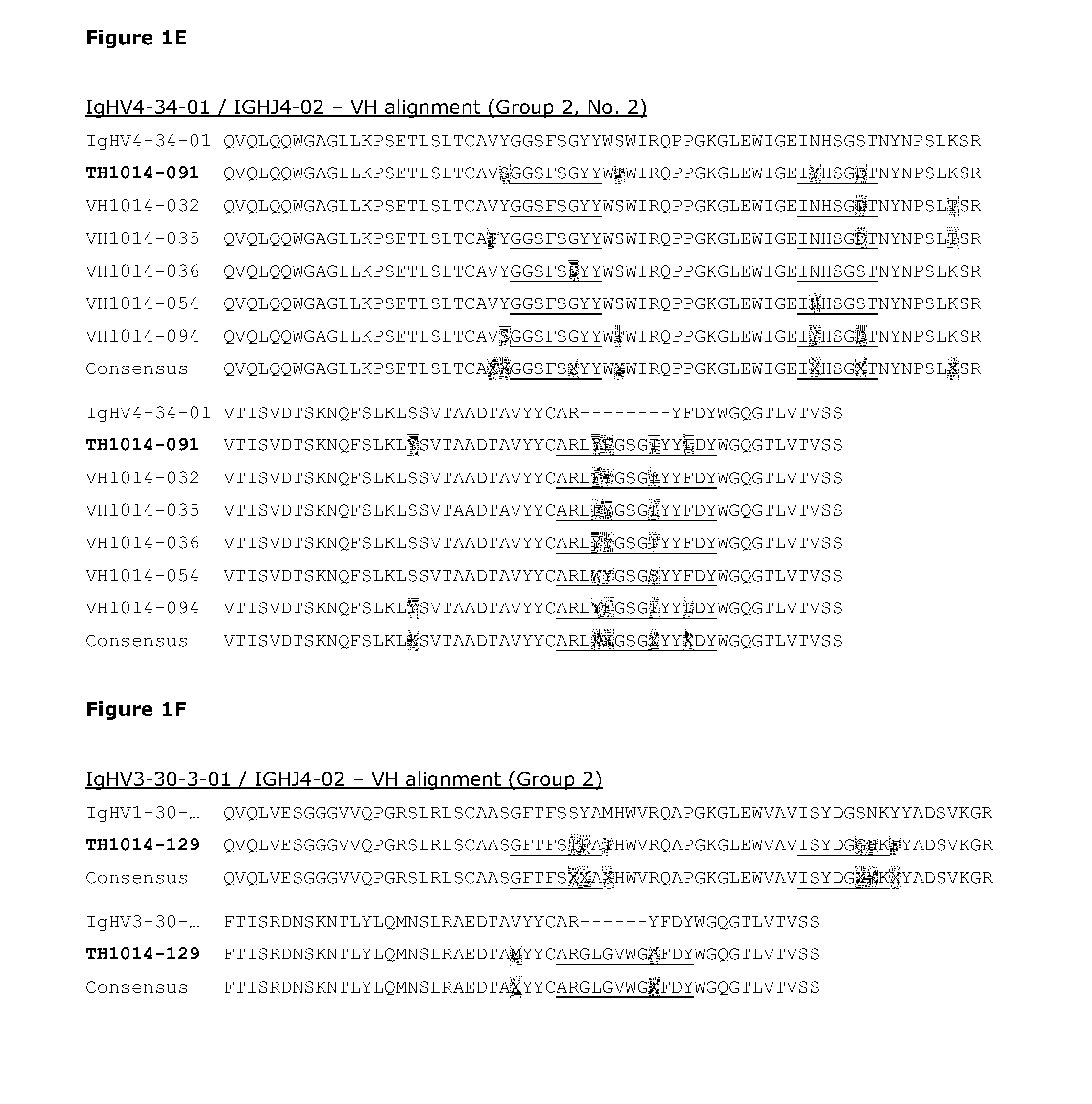 Bispecific antibodies against her2