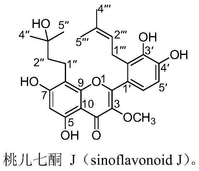 Preparation method and application of prenylated flavonoid compound with anti-breast cancer activity