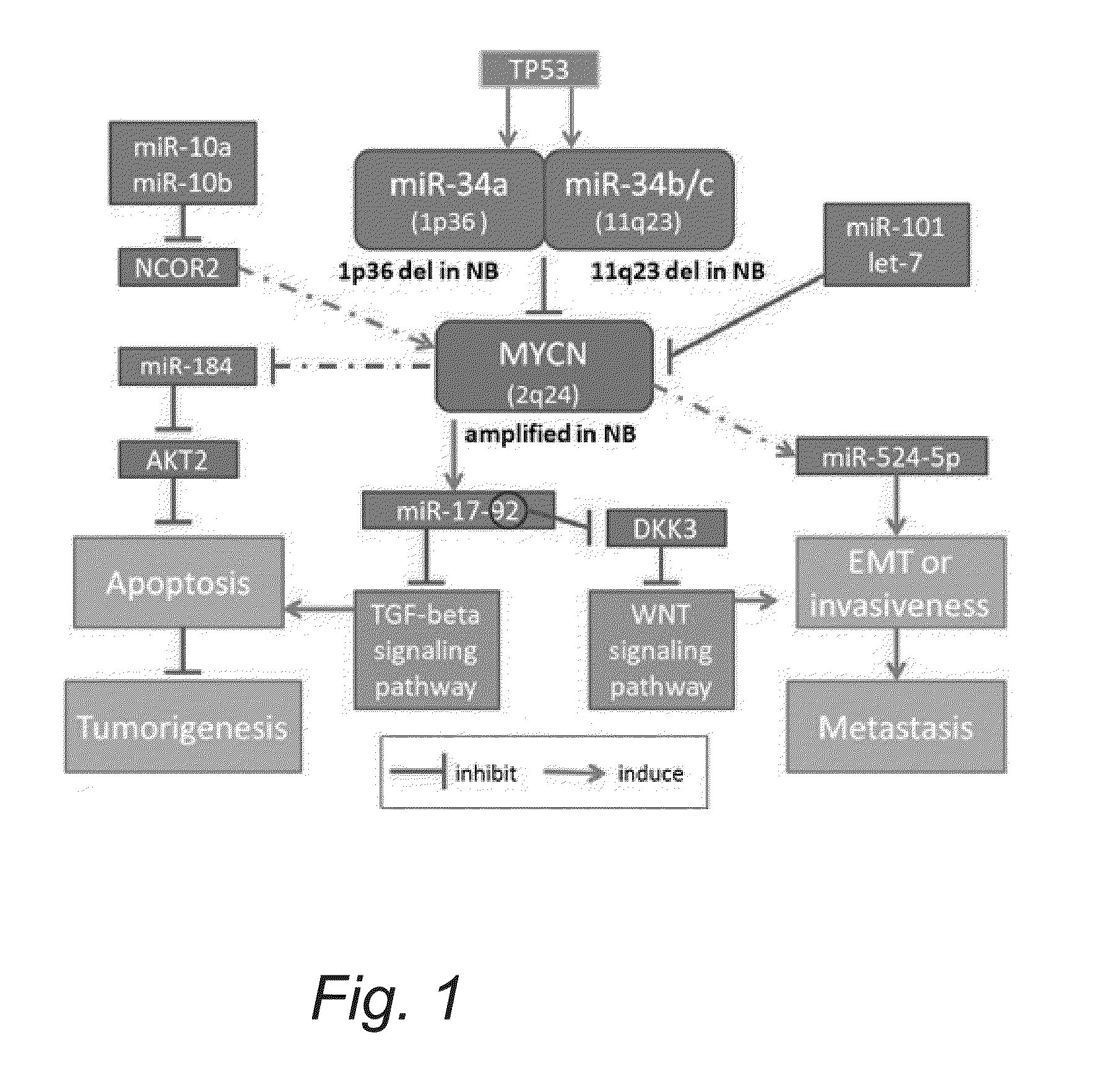 Method of Determining a Diseased State in a Subject