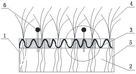 Preparation method of undisturbed sample for laboratory test of mechanical properties of reinforced plant soil