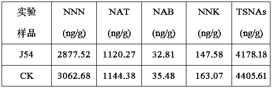 Bacillus altitudinis J54 and application thereof