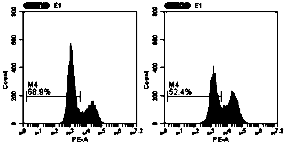 EpCAM gene humanized mouse tumor cell model as well as construction method and use thereof