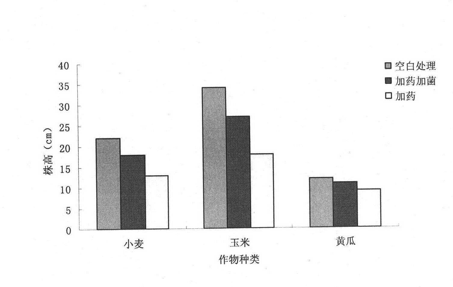 Chlorimuron-ethyl degrading bacterium, soil bioremediation agent based on same, and application thereof