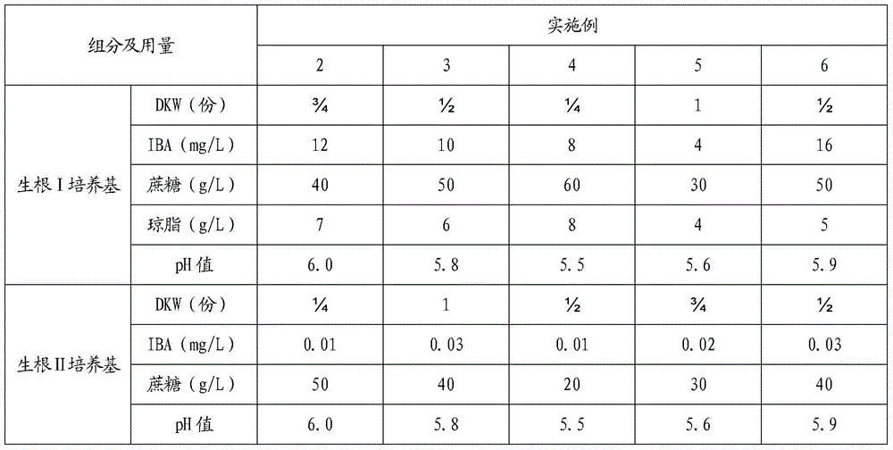 The rooting method of the strange walnut Ulak tissue culture seedling in the bottle