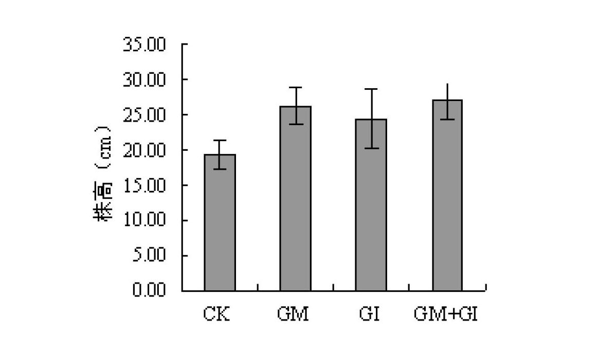 Field fast production method of lawn grass strengthening biological fertilizers