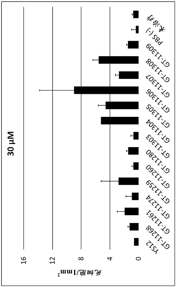 Anti-erythropoietin receptor peptide