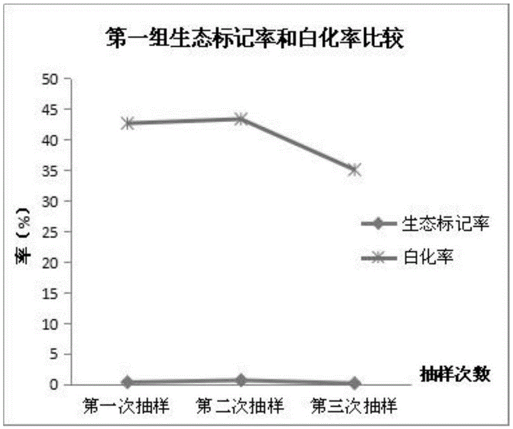 Eco-mark paralichthys olivaceus culture feed and application method thereof