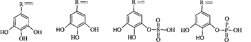 Waterborne rust conversion polymer emulsion, coating thereof and method for preparing same