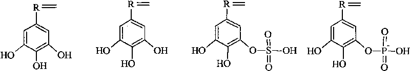 Waterborne rust conversion polymer emulsion, coating thereof and method for preparing same