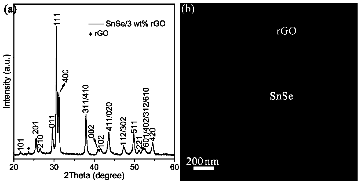 SnSe/rGO thermoelectric composite material and preparation method thereof