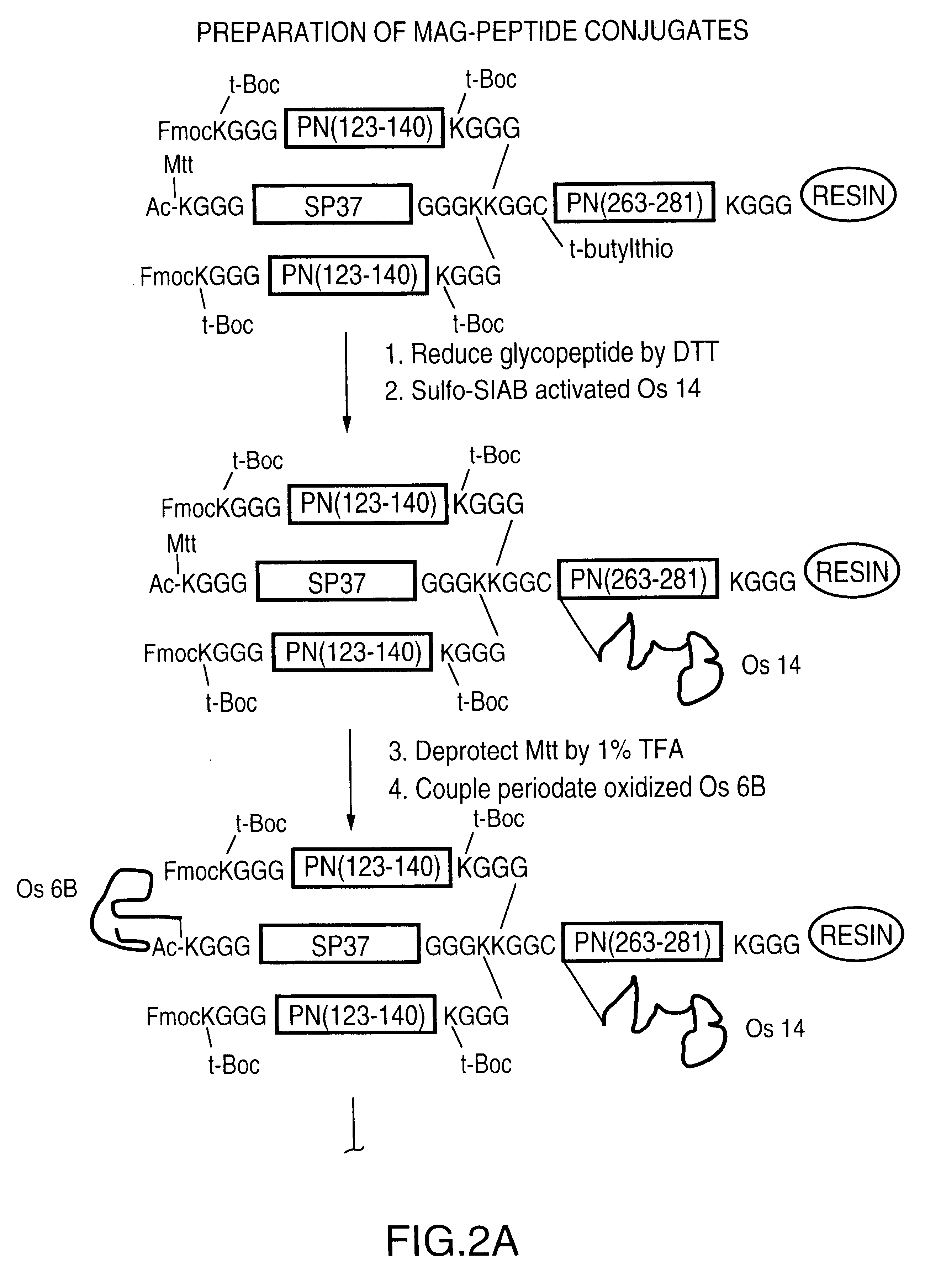 Multi oligosaccharide glycoconjugate bacterial meningitis vaccines