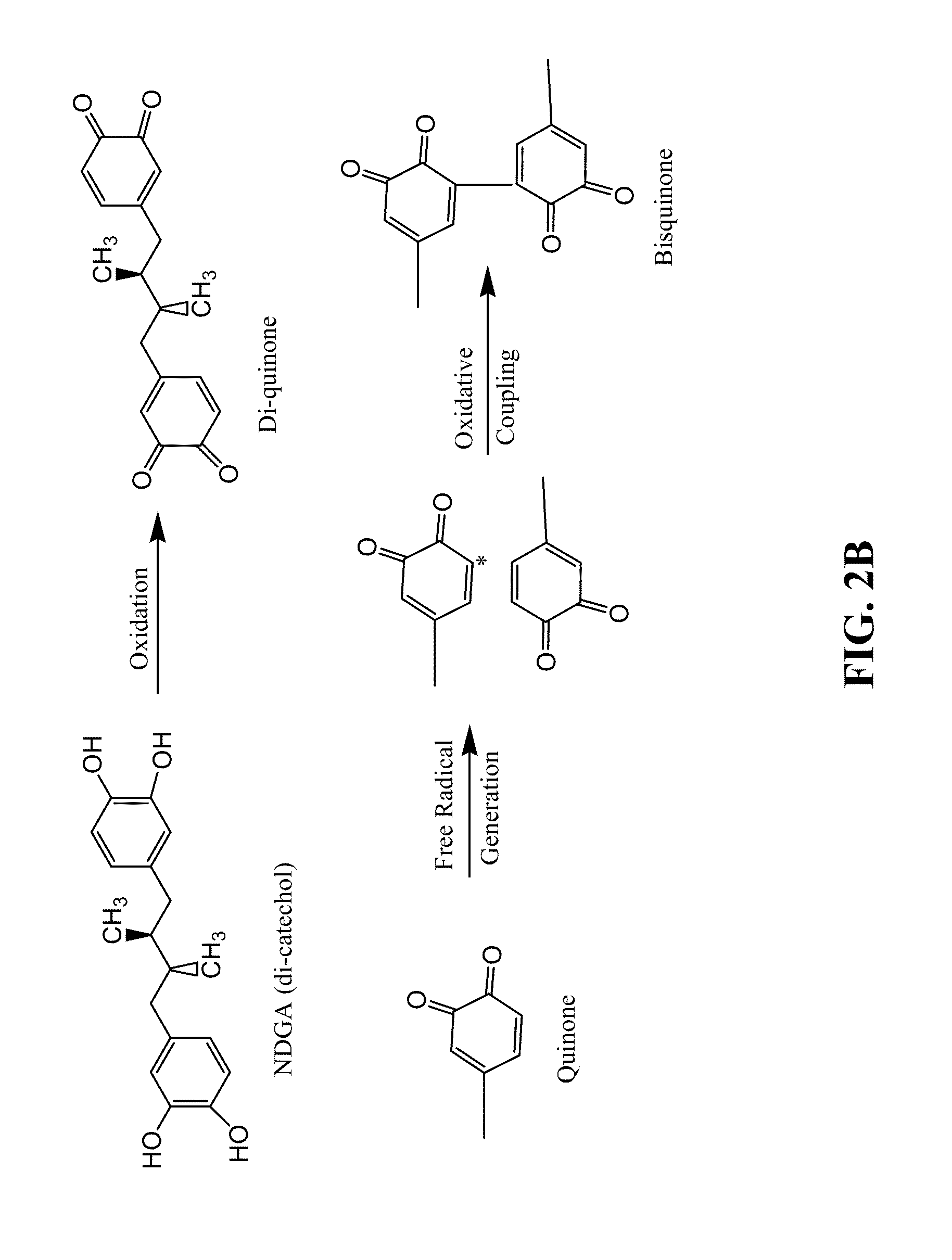 Collagen scaffolds, medical implants with same and methods of use