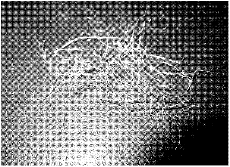 Preparation method for multielement mixed regenerated fiber enhanced regenerated concrete