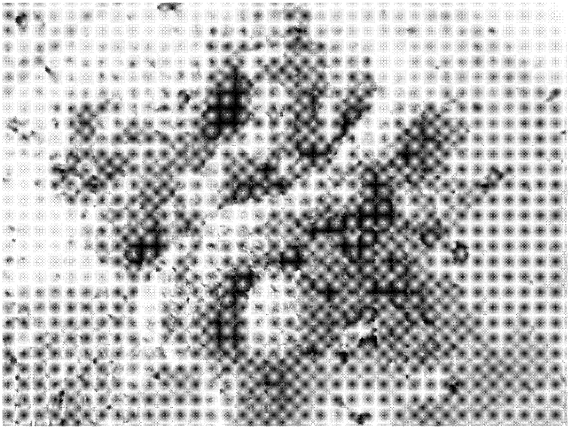 Preparation method for multielement mixed regenerated fiber enhanced regenerated concrete