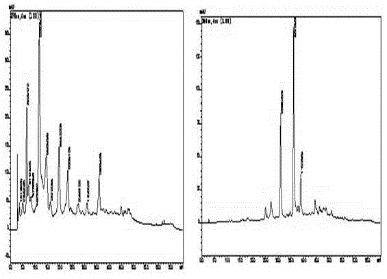 Lacquer tree polyphenol extract capable of inhibiting activity of tyrosinase and preparation method thereof