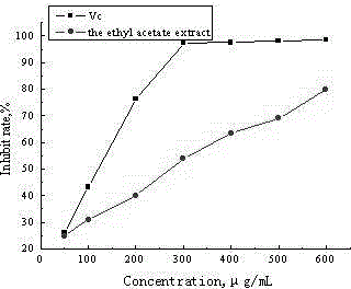 Lacquer tree polyphenol extract capable of inhibiting activity of tyrosinase and preparation method thereof