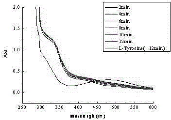 Lacquer tree polyphenol extract capable of inhibiting activity of tyrosinase and preparation method thereof