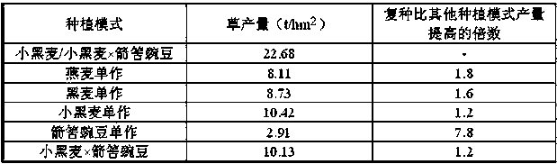 Forage grass type triticale intercropping type multi-cropping mode in region around lakes on Qinghai-Tibet Plateau and Gannan region