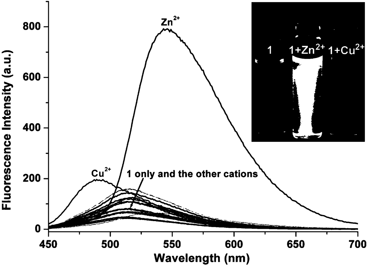 Coumarin thiocarbazone derivatives as well as preparation method and application thereof