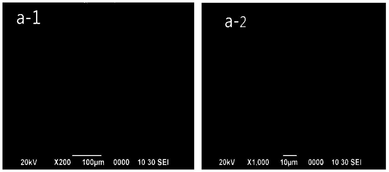 Cigarette chrysanthemum morifolium perfume and preparation method and application of micro capsule thereof